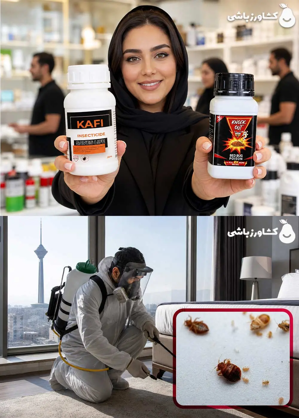 عکس2