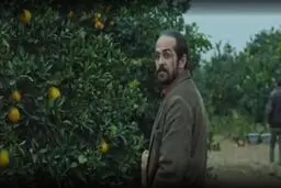 فجر چهل و یکم/ «جنگل پرتقال»؛ روایتی از آدم‌های اطراف ‌ما