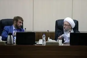 هیات عالی نظارت؛ مسئله یا راه‌حل؟