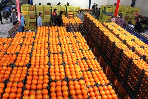 تذکر ۱۵ نماینده به وزرای «صمت» و کشاورزی درباره قیمت میوه
