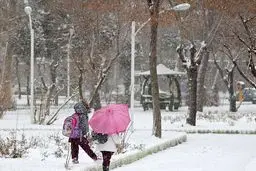 تهران برفی می‌شود

