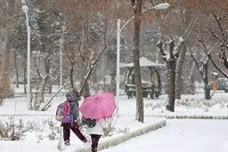 تهران برفی می‌شود
