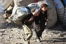 کولبری به جای دانش‌آموزی