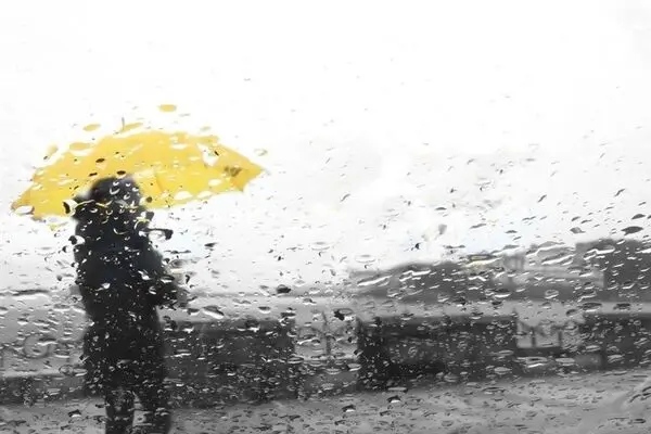 هواشناسی: بارش باران در نوار شمالی کشور/ وزش باد شدید در تهران ادامه دارد