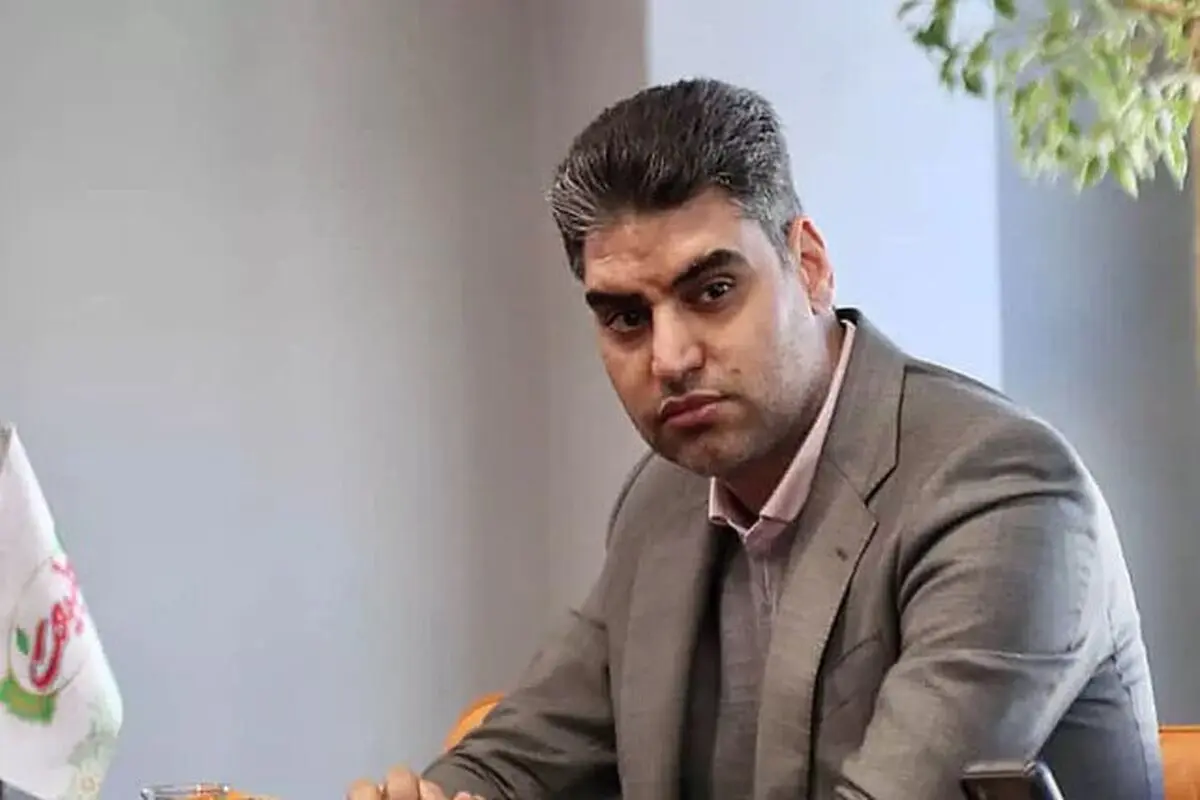 پیمان حدادی رسماً مدیرعامل باشگاه پرسپولیس شد