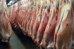 سقوط عرضه گوشت قرمز به دهه ۱۳۷۰