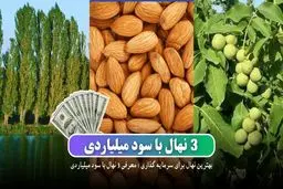 بهترین نهال برای سرمایه گذاری : معرفی 3نهال با سود میلیاردی