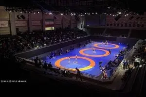 لیگ برتر کشتی فرنگی؛ تعیین فینالیست‌ها در ۱۴ آذر