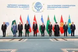 تاکید بر حمایت از مظلومان غزه در اجلاس اکو