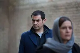  پخش سینمایی نبات از شبکه نمایش
