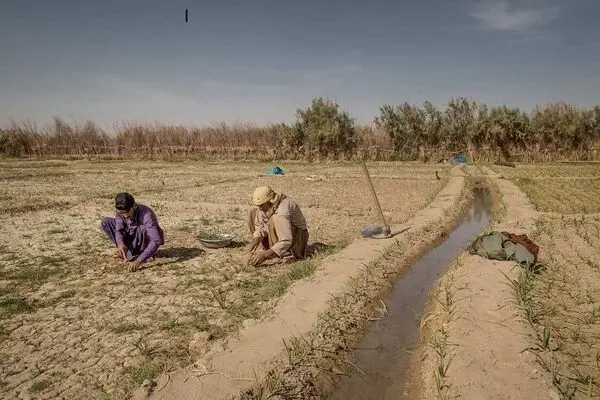 بازگشت انقلابی به مردم