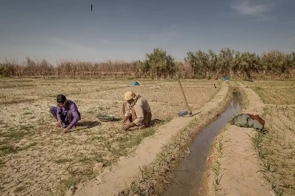 بازگشت انقلابی به مردم