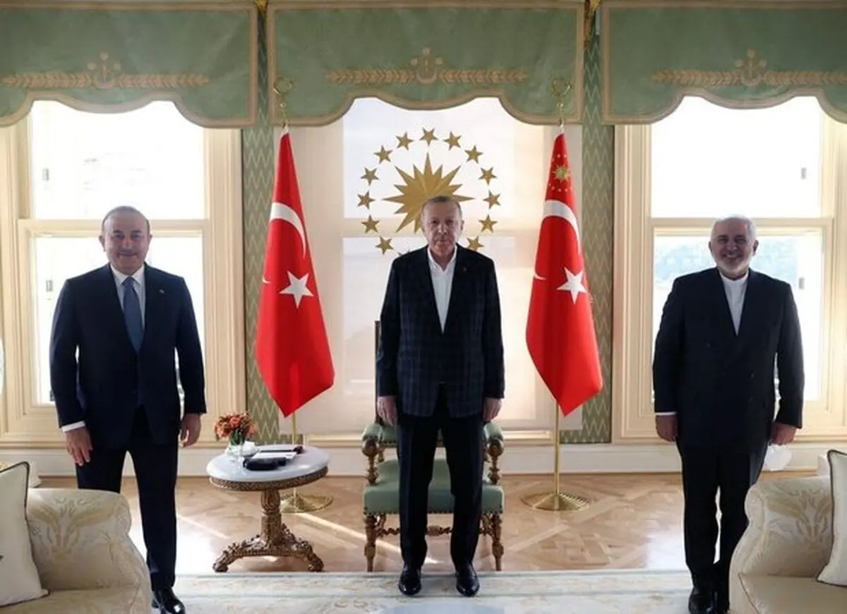 ظریف با اردوغان دیدار و گفتگو کرد