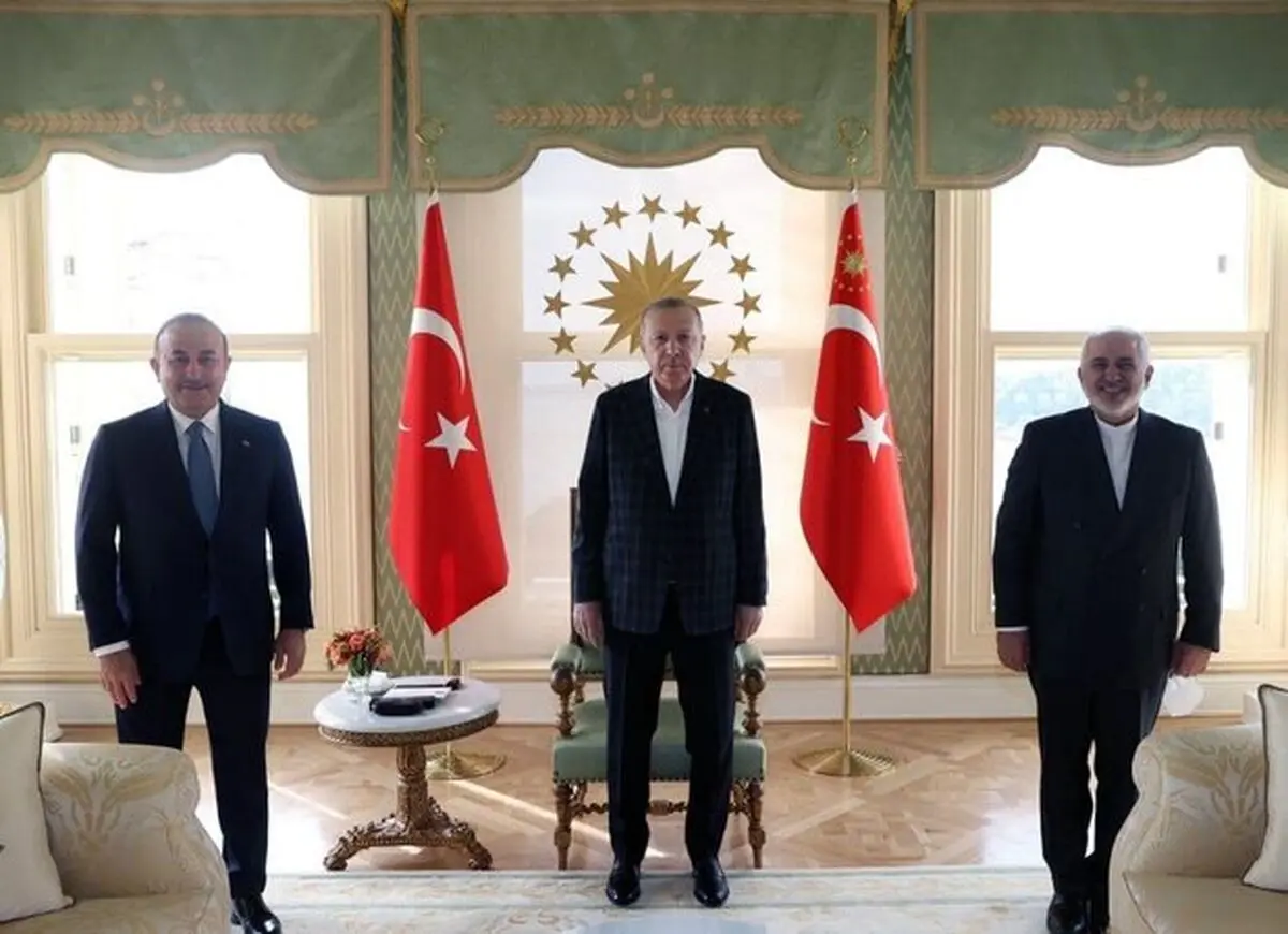 ظریف با اردوغان دیدار و گفتگو کرد