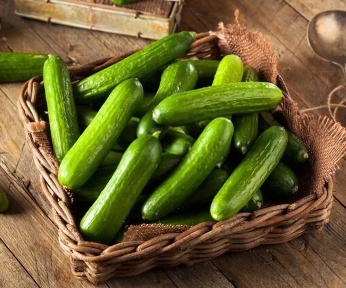 فیلم: لیچار به خیار ۲۰ هزار تومانی!
