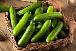 فیلم: لیچار به خیار ۲۰ هزار تومانی!
