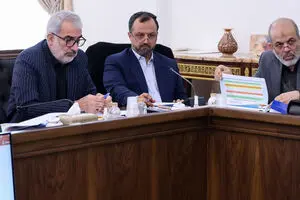 هشت نکته‌ی عجیب‌تر از مصوبه در آیین‌نامه اجرایی مولدسازی