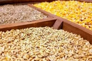 وضعیت نامطلوب ترخیص و توزیع اقلام اساسی