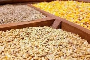 وضعیت نامطلوب ترخیص و توزیع اقلام اساسی