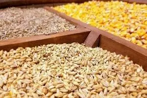 وضعیت نامطلوب ترخیص و توزیع اقلام اساسی