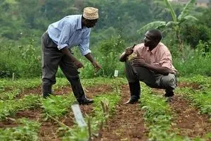 حمایت از خروجی صنعت کشاورزی در دل دانشگاه‌ها