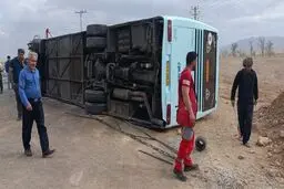 پویش نه به تصادف موفق بود؟