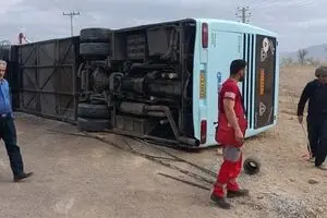 پویش نه به تصادف موفق بود؟