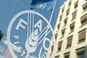 قیمت جهانی مواد غذایی در ژوئن ۲۰۲۶ کاهش یافت؛ فائو از افت قیمت غلات، شکر و لبنیات خبر داد