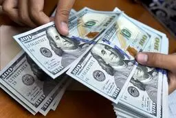 نوسان اندک نرخ در بازار ارز؛ قیمت دلار تغییر نکرد
