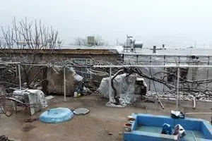 فیلم: مردم در مناطق زلزله زده سی‌سخت در ماشین هایشان می‌خوابند