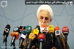 فیلم:  فساد چندصدمیلیاردی؛ از سلبریتی‌ها تا آقازاده‌ها در بانک سرمایه