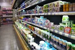 ایران بزرگ‌ترین صادرکننده لبنیات در آسیا