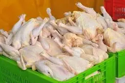 چرایی نوسان قیمت مرغ در بازار 