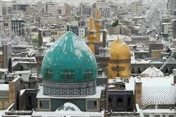 نجات قلب مشهد
