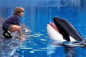  «برادران داسلر» و «نهنگ آزاد» در شبکه نمایش سیما تماشایی می‌شوند