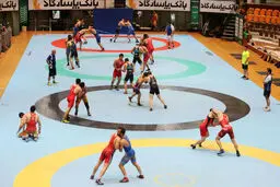 مصوبات نشست فنی تیم‌های ملی کشتی فرنگی اعلام شد