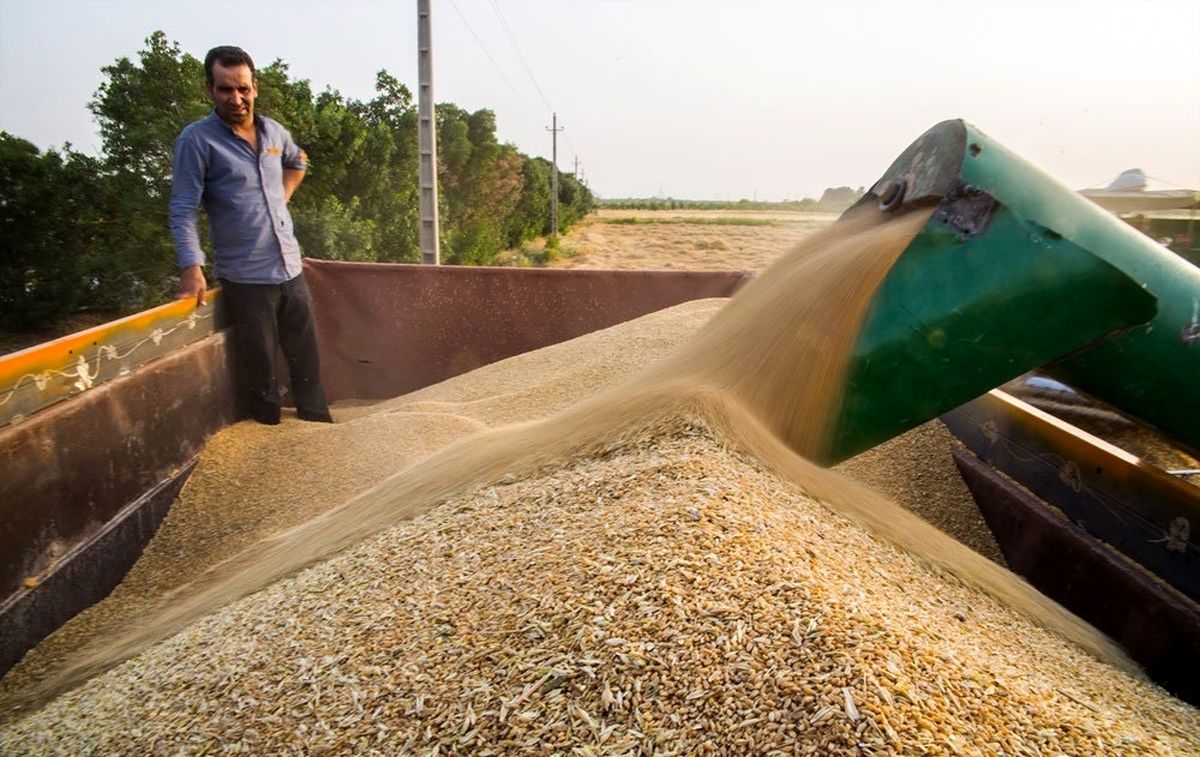 میزان واردات گندم چقدر کاهش می‌یابد؟