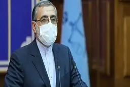 اسماعیلی: برای برخی ترک فعل ها باید ضمانت کیفری پیش بینی شود
