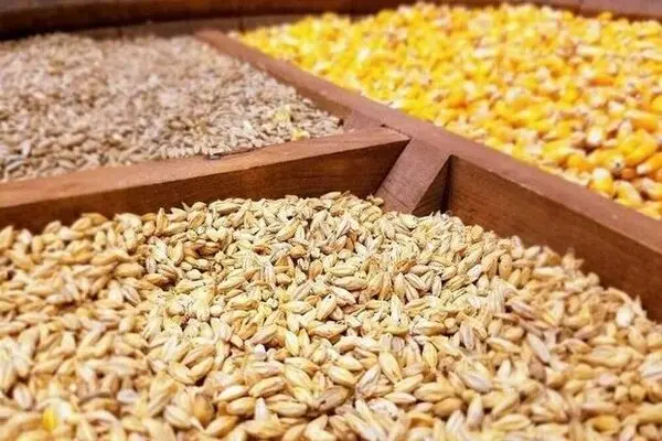 واردکنندگان نهاده‌هاخواستار رفع تبعیض میان دولت و بخش خصوصی شدند