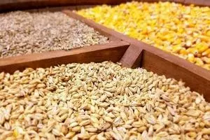 واردکنندگان نهاده‌هاخواستار رفع تبعیض میان دولت و بخش خصوصی شدند