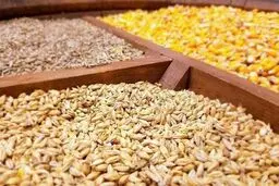 واردکنندگان نهاده‌هاخواستار رفع تبعیض میان دولت و بخش خصوصی شدند