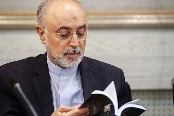 بی‌اعتمادی ما به آمریکا براساس واقعیت‌هاست
