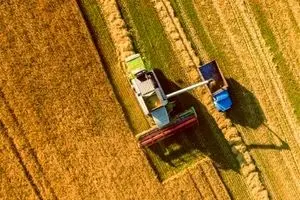 سیاستهای جدید دولت در قیمتگذاری گندم تا هفته آینده نهایی میشود