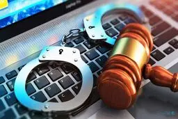 اکثر جرایم سایبری مالی هستند