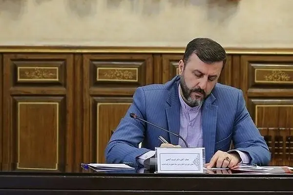«بهنام نجفی» کلاهبردار ۱۰ هزار میلیاردی را به ایران برگردانید