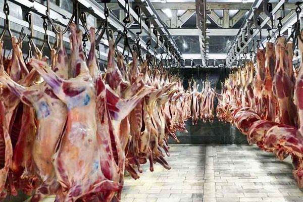 وزیر جهاد کشاورزی: ۱۰۰ هزارتن کسری گوشت داریم