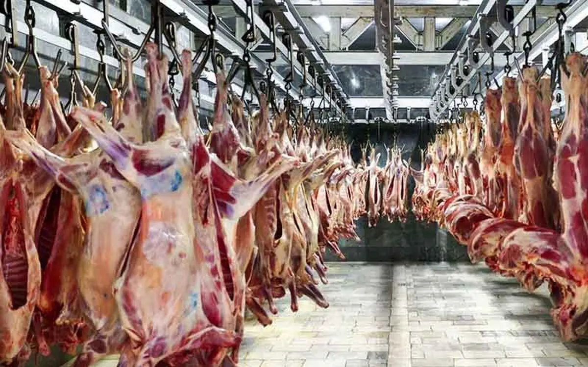 24 تن گوشت احتکر شده فاسد شدند