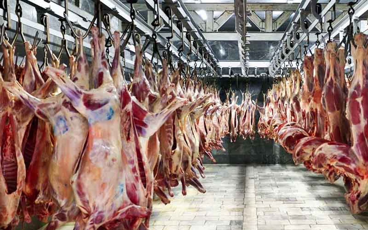 وزیر جهاد کشاورزی: ۱۰۰ هزارتن کسری گوشت داریم