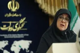 سخنگوی دولت: تغییر قیمت یا سهمیه‌بندی بنزین در دستور کار دولت است