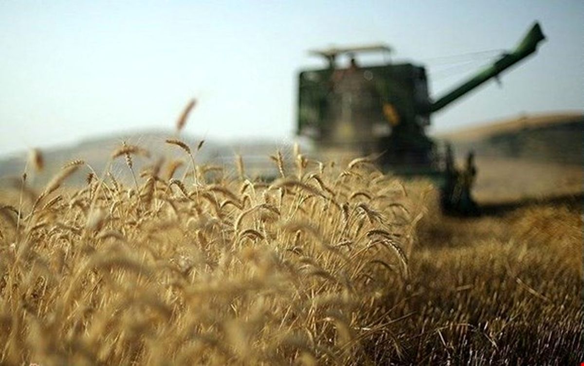ایران در سال ۱۴۰۰ هم واردکننده گندم خواهد بود؟